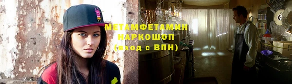 сатива Няндома