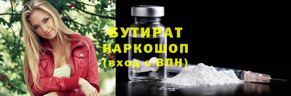 сатива Няндома
