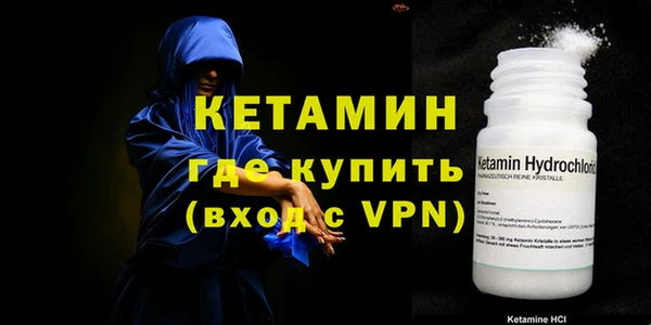 сатива Няндома