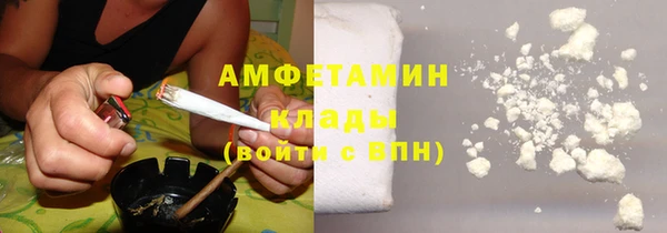 сатива Няндома