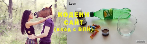 сатива Няндома
