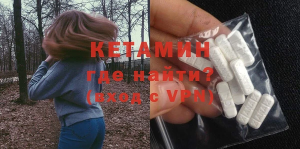 сатива Няндома