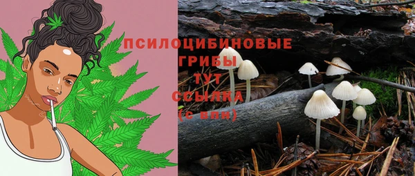 сатива Няндома