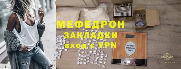 сатива Няндома