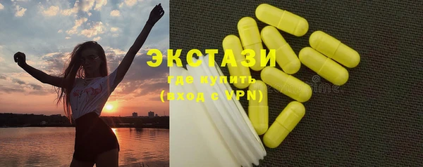 сатива Няндома