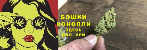 сатива Няндома
