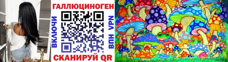 Псилоцибиновые грибы Psilocybe  даркнет сайт  Чекалин 